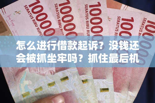 武汉怎么进行借款起诉？没钱还会被抓坐牢吗？抓住最后机会！