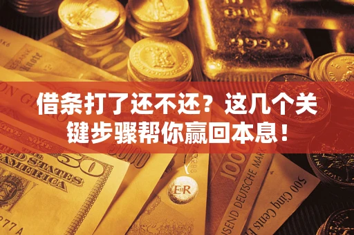 武汉借条打了还不还？这几个关键步骤帮你赢回本息！
