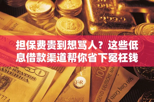 武汉担保费贵到想骂人？这些低息借款渠道帮你省下冤枉钱