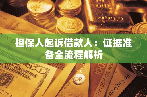 武汉担保人起诉借款人：证据准备全流程解析