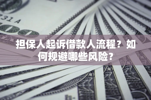 武汉担保人起诉借款人流程？如何规避哪些风险？
