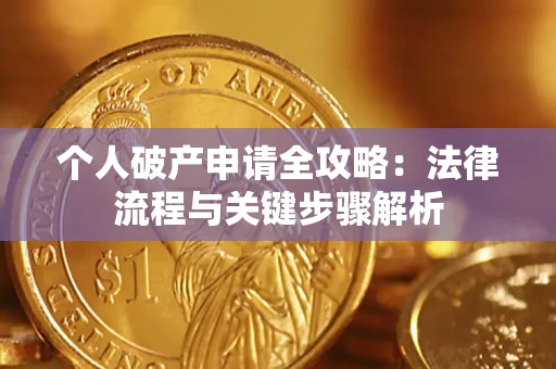 武汉个人破产申请全攻略：法律流程与关键步骤解析