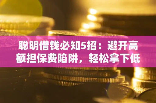 武汉聪明借钱必知5招：避开高额担保费陷阱，轻松拿下低息贷款