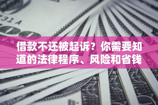 武汉借款不还被起诉？你需要知道的法律程序、风险和省钱技巧